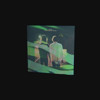 shelter (10th anniversary edition) 7" vinyl